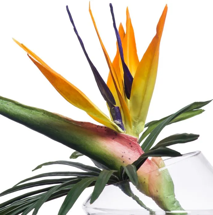 Bird of Paradise Stateroom Bouquet Yacht Silks Arrangement