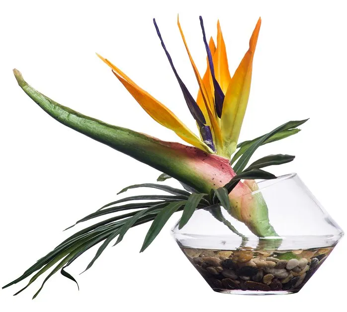 Bird of Paradise Stateroom Bouquet Yacht Silks Arrangement