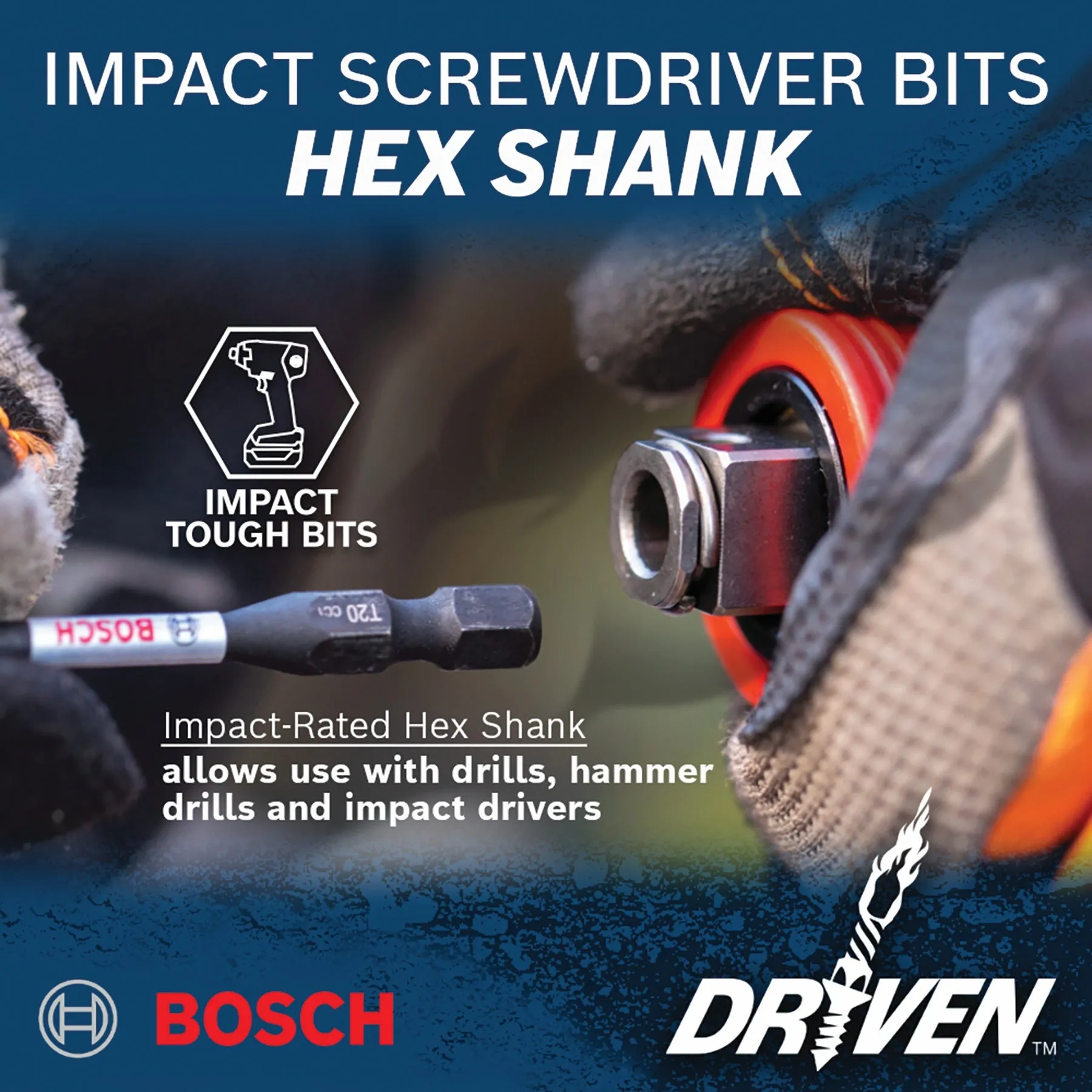 BOSCH ITDT20102 2 pc. Driven 1 In. Impact Torx® #20 Insert Bits